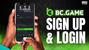 Experience Excitement in the Crypto Casino BC.Game
