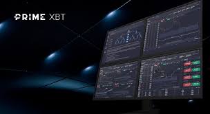 Understanding PrimeXBT Fee Comprehensive Insights for Traders Understanding PrimeXBT Fee Comprehensive Insights for Traders
